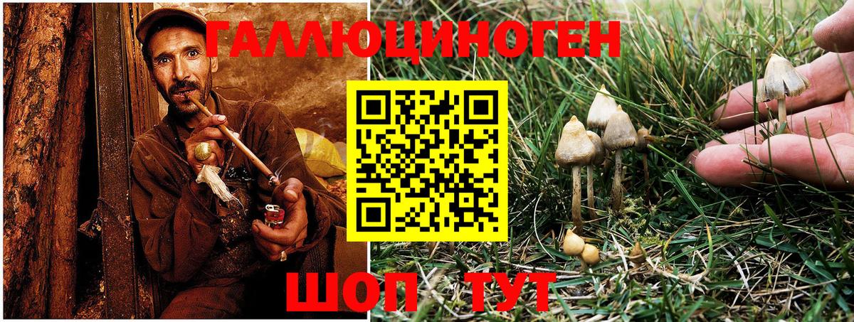 Псилоцибиновые грибы ЛСД Коммунар